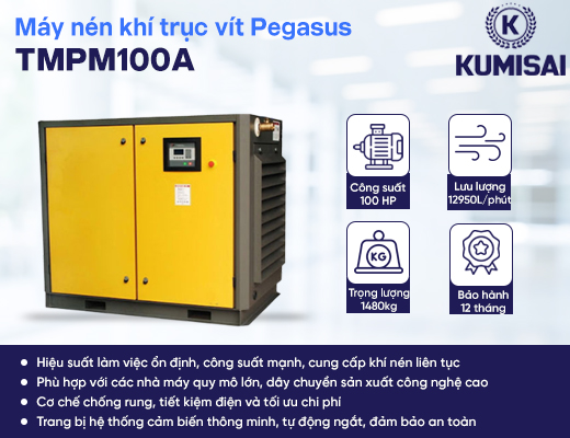 Máy nén khí trục vít Pegasus TMPM100A - 2