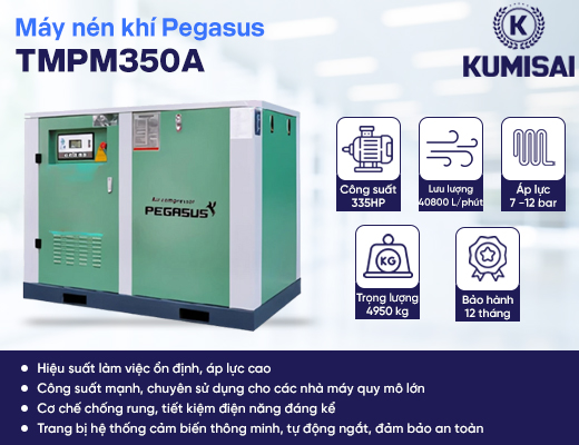 Máy nén khí trục vít Pegasus TMPM350A - 2