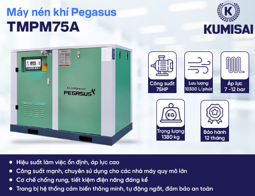 Máy nén khí trục vít Pegasus TMPM75A - 2